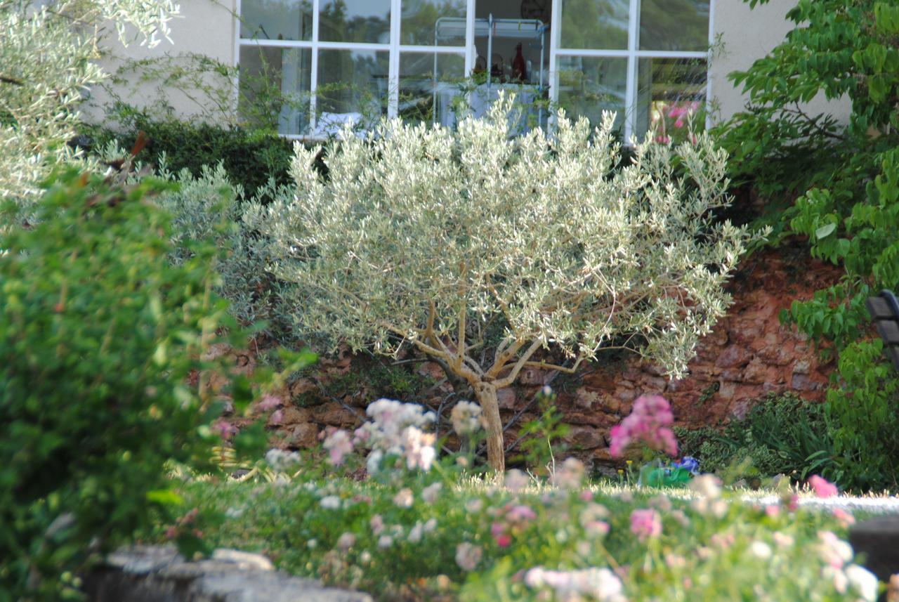 B&B La Badelle Gordes Exterior photo